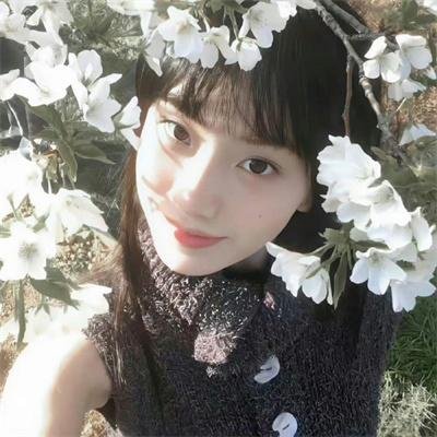 罗宾七侠